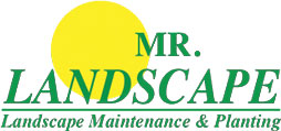 Mr Landscape - Landscape Maintenance & Planting