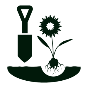 annual planting icon