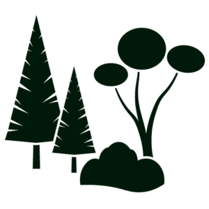 Landscape planting icon of pines, a shrub and birch